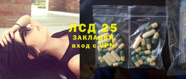 мяу мяу мука Аркадак