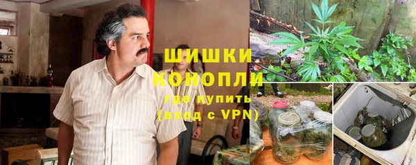 мяу мяу мука Аркадак