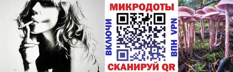Псилоцибиновые грибы прущие грибы  Фролово 